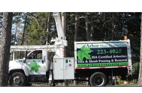 tree work truck