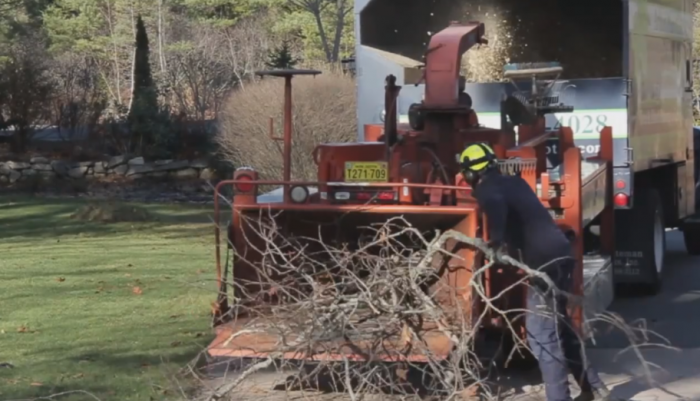 Spring Clean up